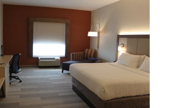 Habitación Holiday Inn Express & Suites ORLANDO SOUTH-DAVENPORT