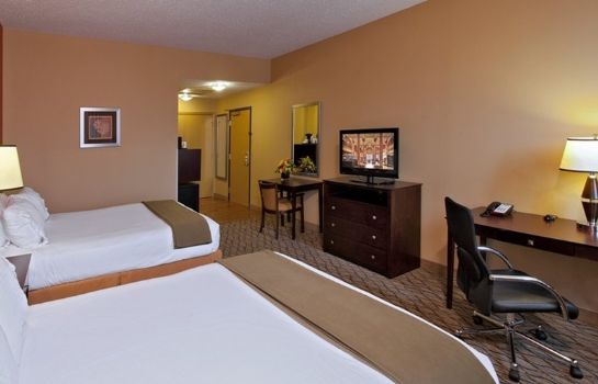 Suite Holiday Inn Express BALTIMORE-DOWNTOWN