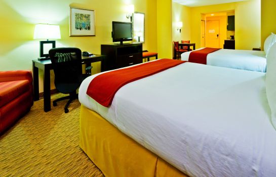 Suite Holiday Inn Express & Suites NASHVILLE-OPRYLAND
