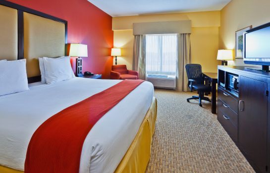 Zimmer Holiday Inn Express & Suites NASHVILLE-OPRYLAND