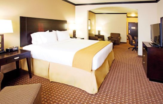 Suite Holiday Inn Express & Suites CORPUS CHRISTI