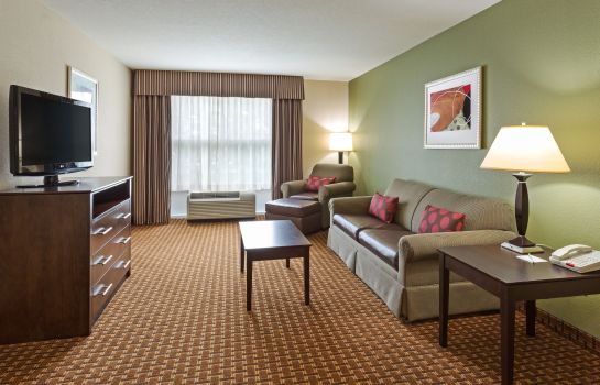 Room Holiday Inn DAYTONA BEACH LPGA BLVD