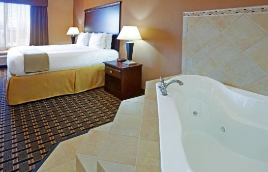Suite Holiday Inn Express & Suites DALLAS CENTRAL MARKET CENTER