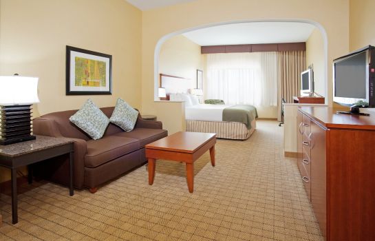Suite Holiday Inn Express & Suites DENVER AIRPORT