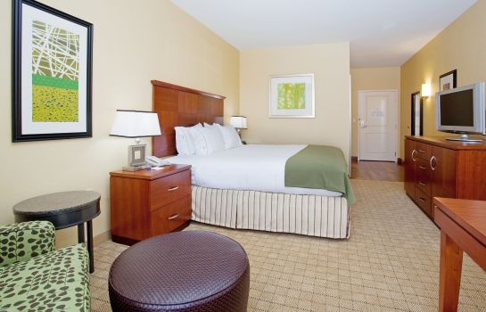 Room Holiday Inn Express & Suites DENVER AIRPORT
