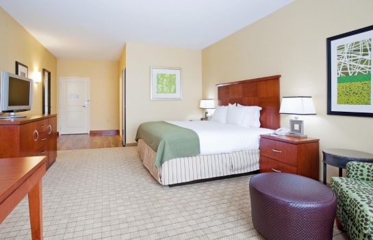 Room Holiday Inn Express & Suites DENVER AIRPORT