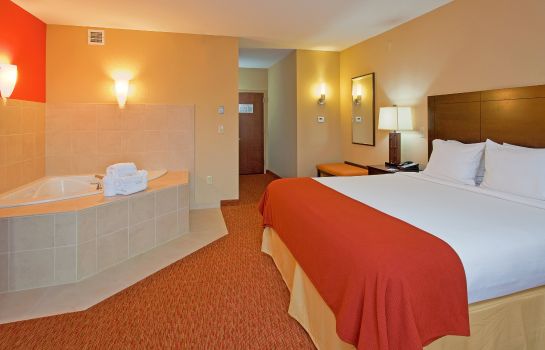 Suite Holiday Inn Express & Suites CHATTANOOGA DOWNTOWN
