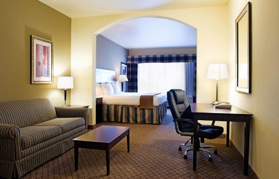 Zimmer Holiday Inn Express & Suites SAN ANTONIO NW-MEDICAL AREA
