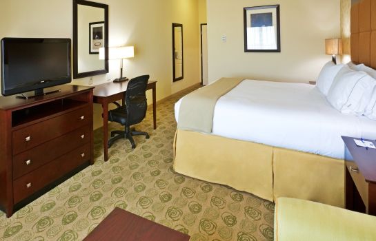 Room Holiday Inn Express & Suites DALLAS EAST - FAIR PARK