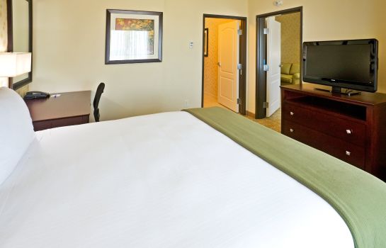 Zimmer Holiday Inn Express & Suites DALLAS EAST - FAIR PARK