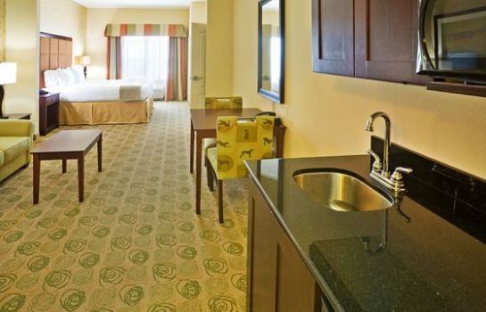Zimmer Holiday Inn Express & Suites DALLAS EAST - FAIR PARK