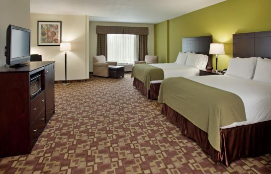 Suite Holiday Inn Express & Suites KANSAS CITY SPORT COMPLEX AREA