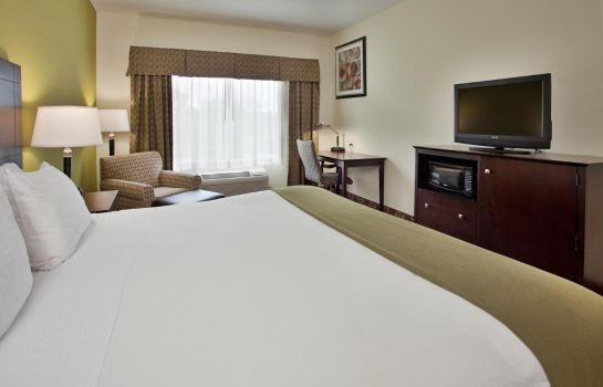 Room Holiday Inn Express & Suites KANSAS CITY SPORT COMPLEX AREA