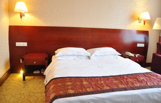 Einzelzimmer Standard Guigang International Hotel