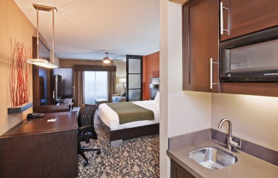 Suite Holiday Inn Express & Suites NORTH DALLAS AT PRESTON