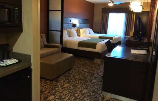 Zimmer Holiday Inn Express & Suites NORTH DALLAS AT PRESTON