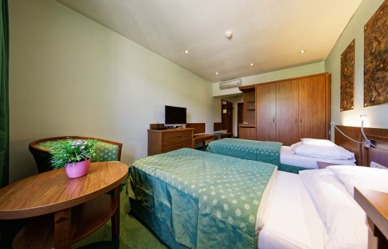 Double room (superior) Hotel Max Inn