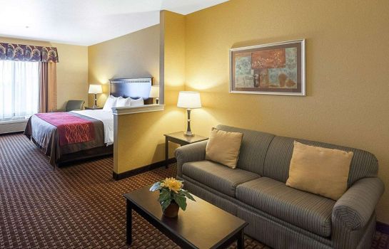 Suite Comfort Inn and Suites Regional Medical