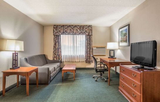 Suite CLARION HOTEL AND CONVENTION CENTER