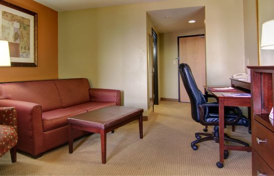 Suite Comfort Suites El Paso West