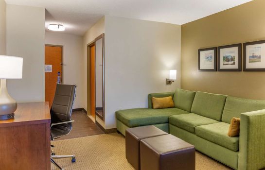 Suite Comfort Suites Amish Country