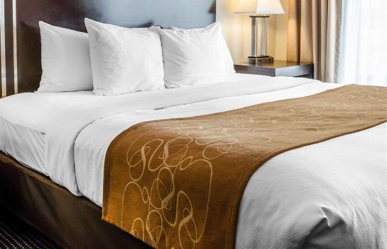 Hotel Comfort Suites Amish Country In Lancaster Great Prices At