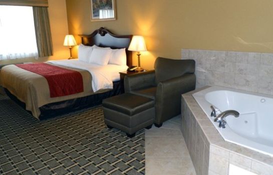 Suite Holiday Inn Express & Suites OLATHE SOUTH