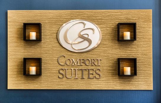 Hotel Comfort Suites San Jose Airport Great Prices At Hotel Info