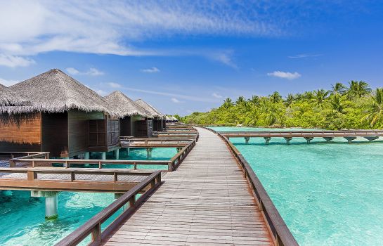 Info Sheraton Maldives Full Moon Resort & Spa