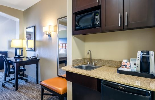 Suite Holiday Inn Express & Suites DALLAS W - I-30 COCKRELL HILL