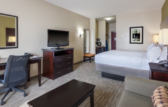 Room Holiday Inn Express & Suites DALLAS W - I-30 COCKRELL HILL