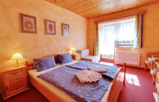 Double room (standard) Hotel Martin a Kristyna