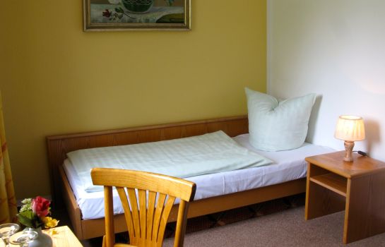 Habitación individual (estándar) Goldener Becher Landhotel