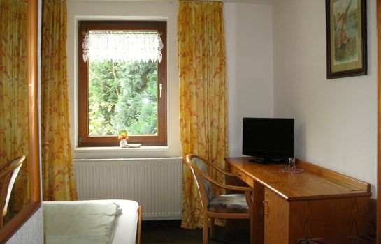 Double room (standard) Goldener Becher Landhotel