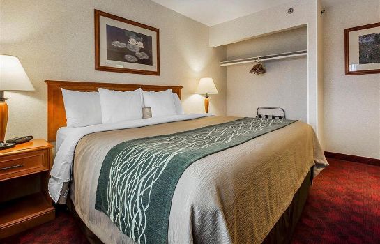 Chambre Comfort Inn and Suites Victoria