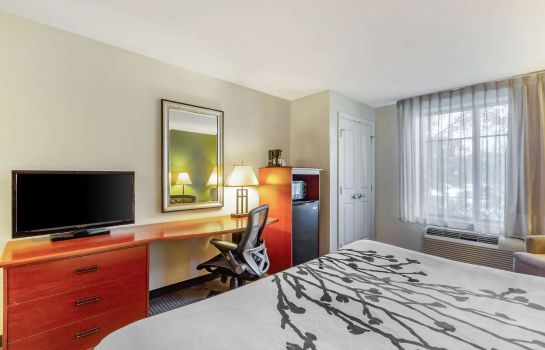 Room Sleep Inn and Suites Jacksonville