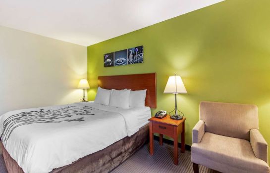 Room Sleep Inn and Suites Jacksonville
