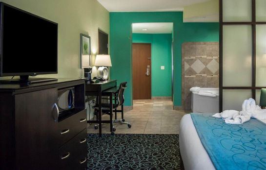 Hotel Comfort Suites At Fairgrounds Casino In Tampa Great Prices