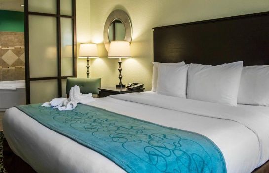 Hotel Comfort Suites At Fairgrounds Casino In Tampa Great Prices