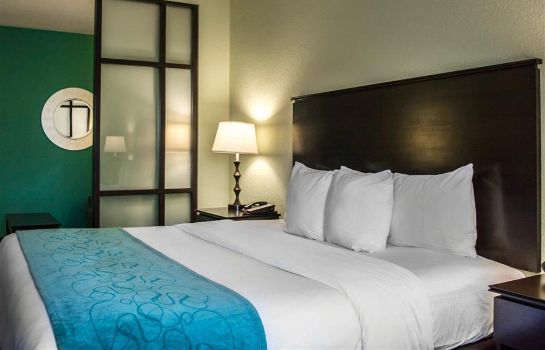 Hotel Comfort Suites At Fairgrounds Casino In Tampa Great Prices
