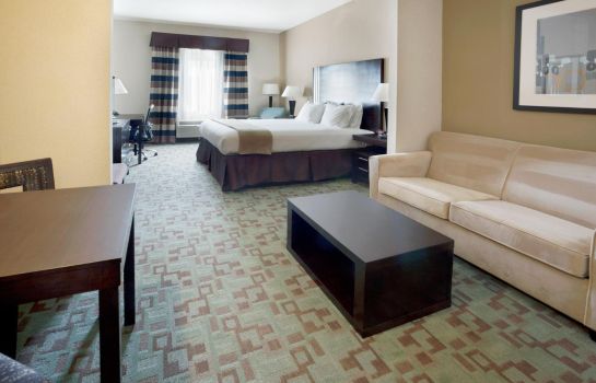 Suite Holiday Inn Express & Suites HOUSTON NW BELTWAY 8-WEST ROAD
