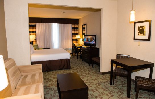 Room Holiday Inn Express & Suites HOUSTON NW BELTWAY 8-WEST ROAD