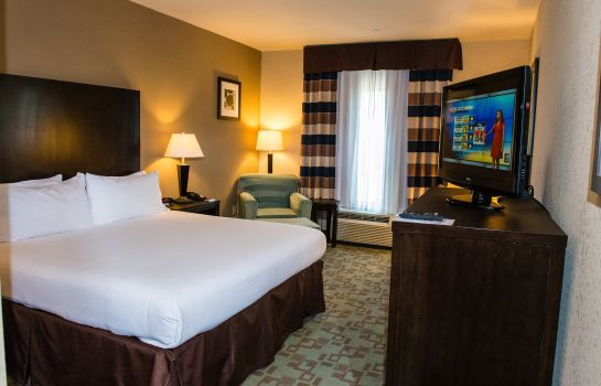 Room Holiday Inn Express & Suites HOUSTON NW BELTWAY 8-WEST ROAD
