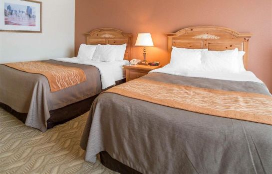 Comfort Inn Downtown In Salt Lake City Great Prices At Hotel Info