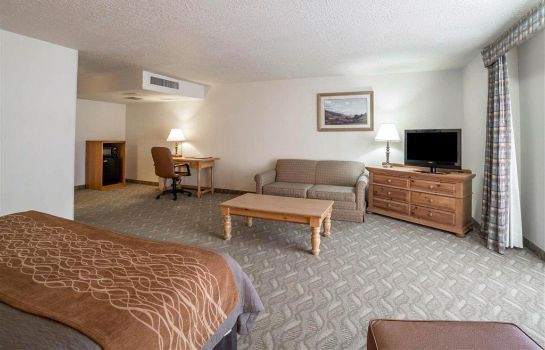 Comfort Inn Downtown In Salt Lake City Great Prices At Hotel Info