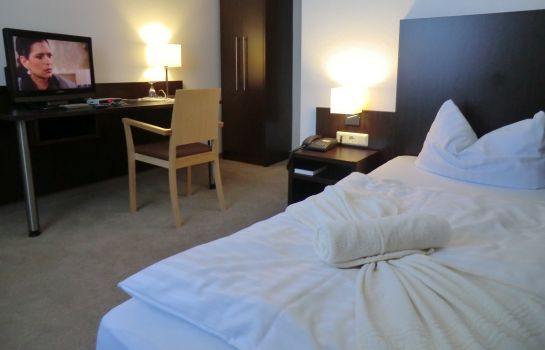 Single room (standard) Zum Löwen Seehotel