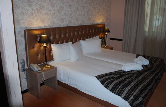 Double room (standard) Athens Lotus Hotel