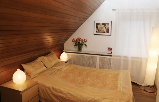 Doppelzimmer Standard Rhein River Guesthouse