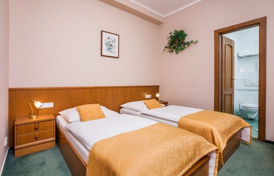 Doppelzimmer Standard Jelinkova vila hotel - pivovar34
