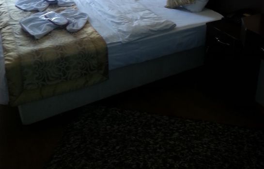 Hotel Golden Palace Istanbul Great Prices At Hotel Info